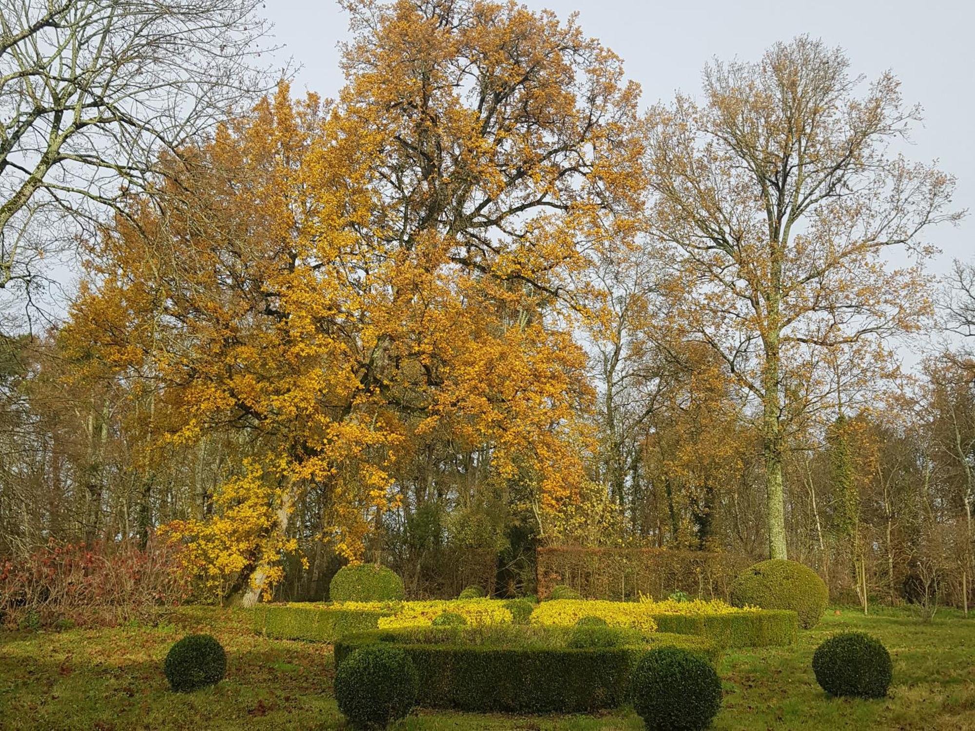 La Taille De Biou Bed & Breakfast Huisseau-sur-Cosson Bagian luar foto